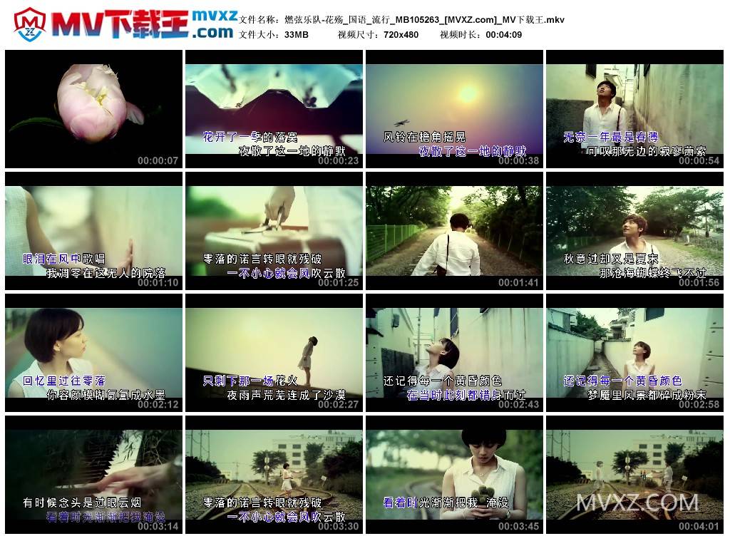 燃弦乐队-花殇_国语_流行_MB105263